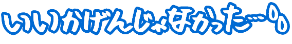 いいかげんじゃなかった・・・