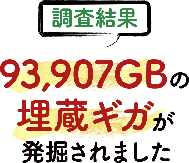 93,907GBの埋蔵ギガが発掘されました